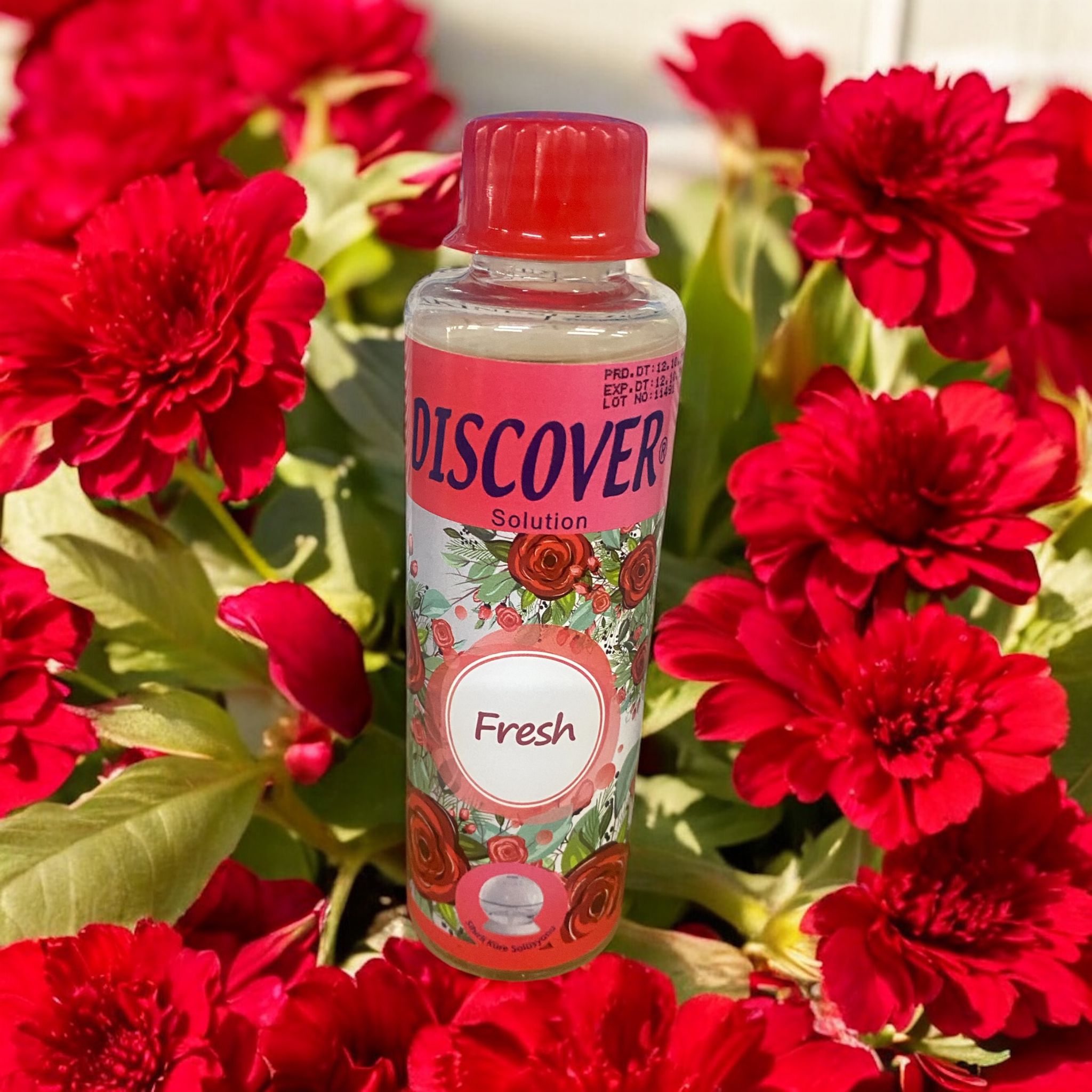 DISCOVER  WOLRD KOKU + MAKİNE